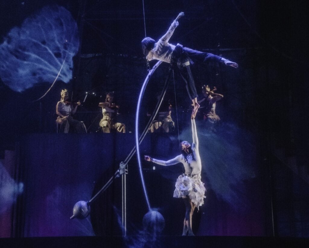 Le petit cirque